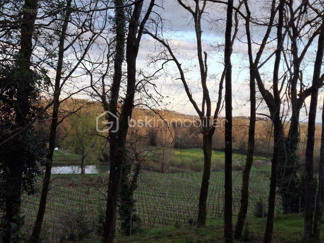 Terrain constructible 1165 m² – Viabilisé – Vue sur coteaux – Sainte-Colombe - photo 4