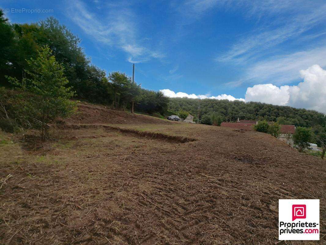 Terrain non  constructible  Champagney 2312 m2 - photo 5
