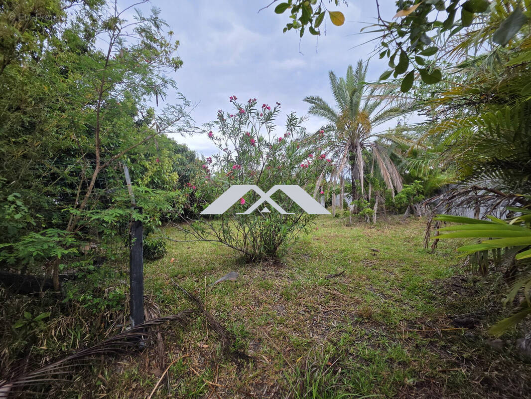 Terrain à SAINT-DENIS