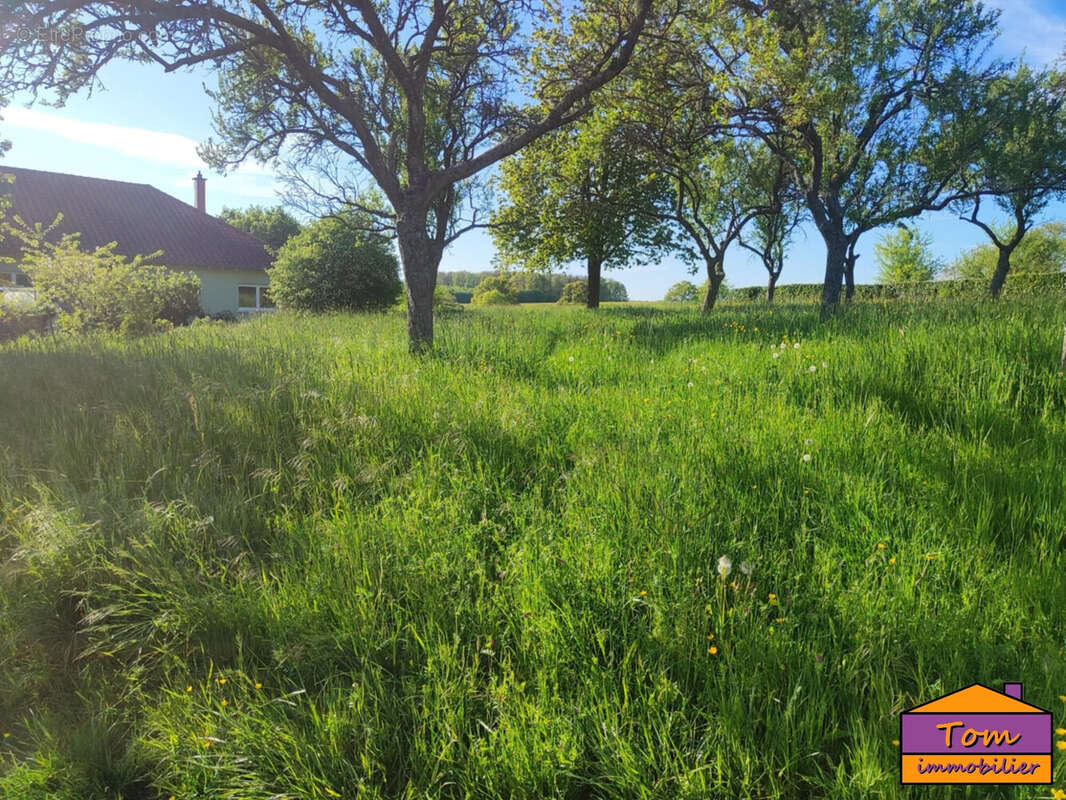 Terrain à VOLMUNSTER