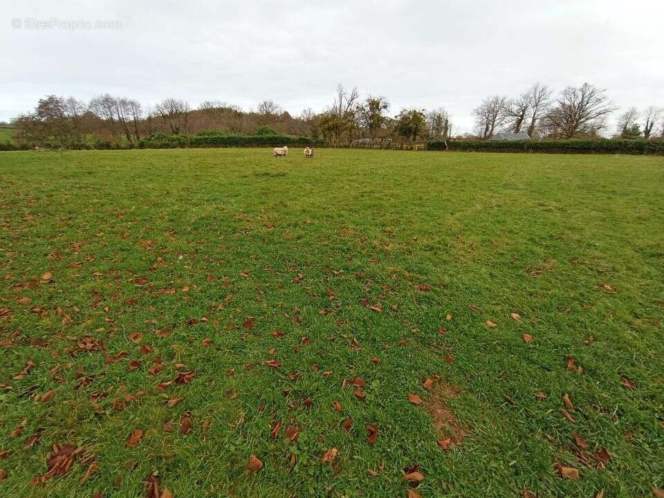Terrain à LE MAYET-DE-MONTAGNE