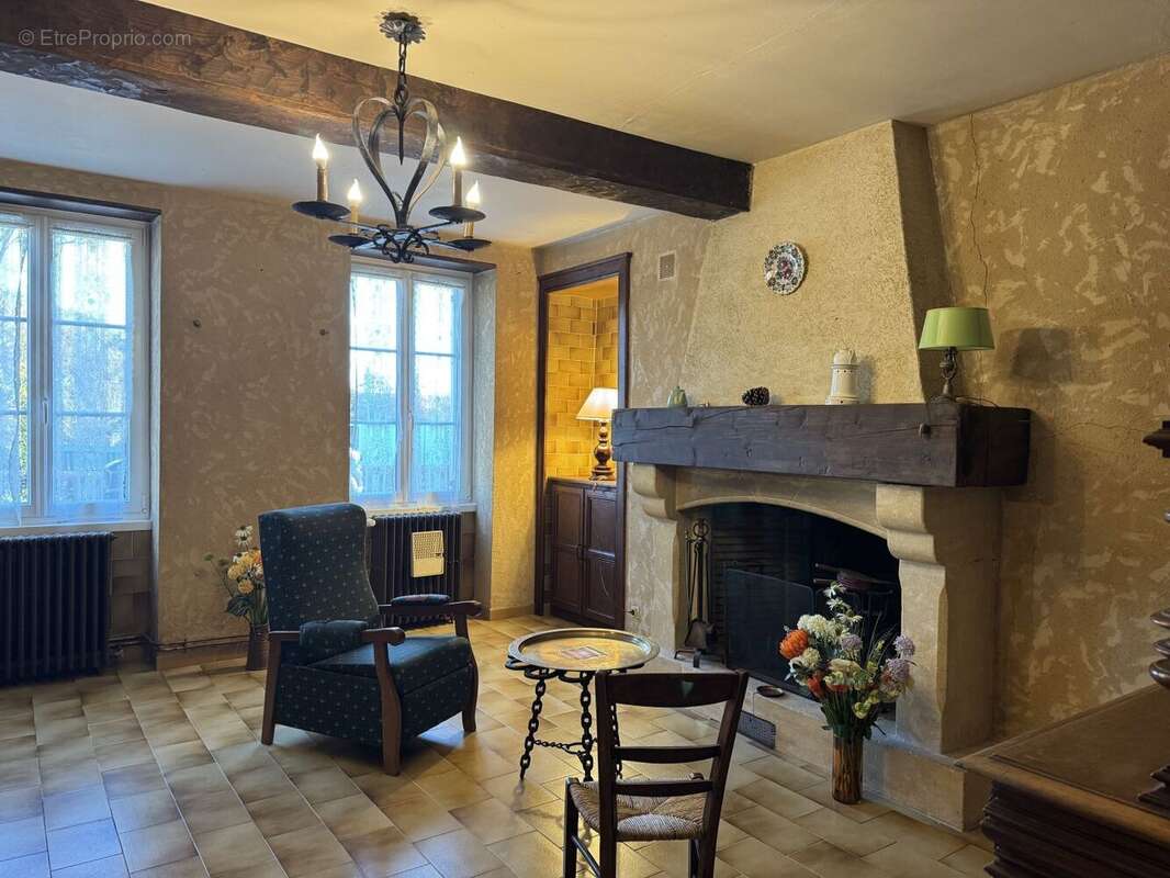 IMG0475 - Maison à SAINT-CYPRIEN