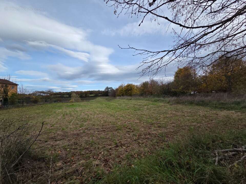 Terrain à BELIGNEUX