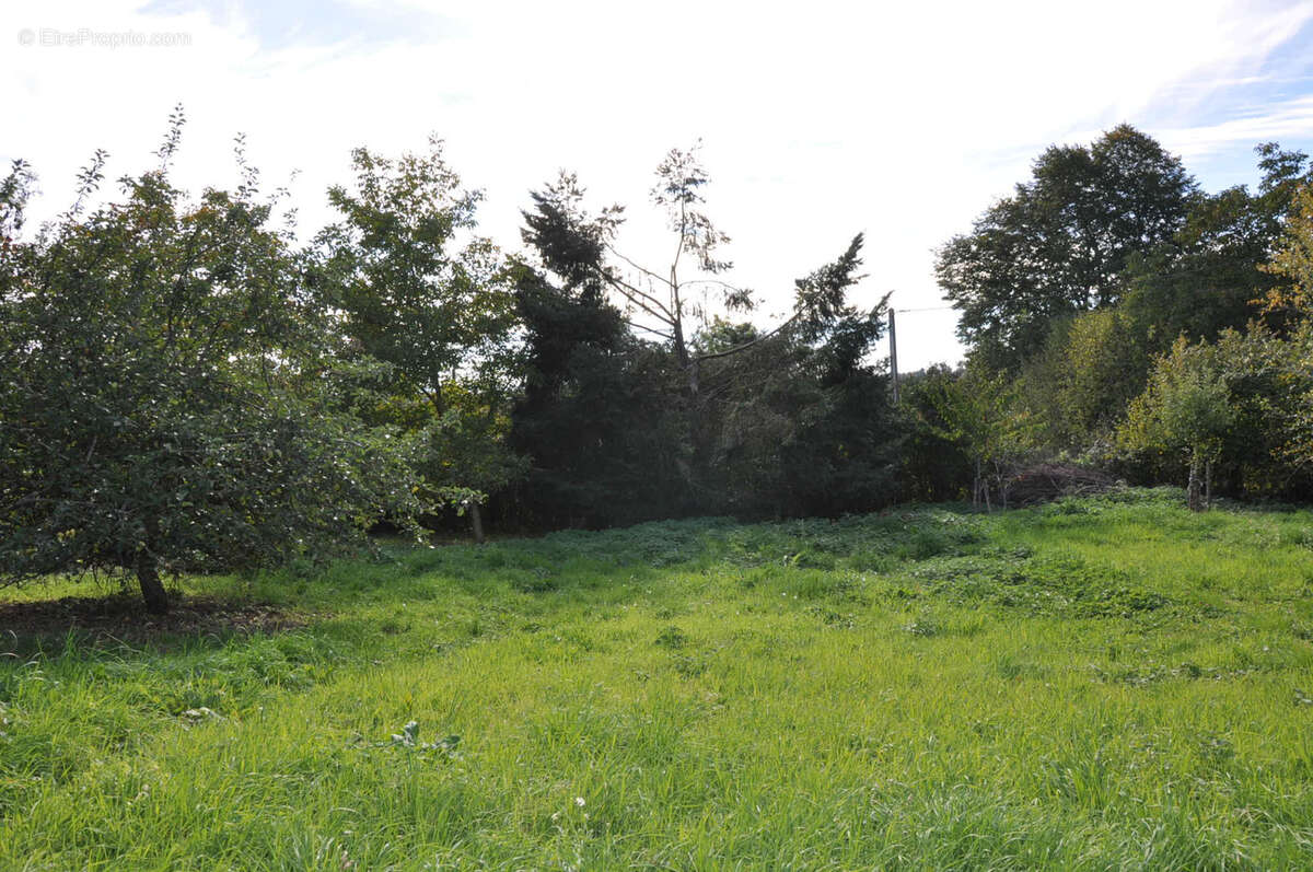 Maison à ARFEUILLES