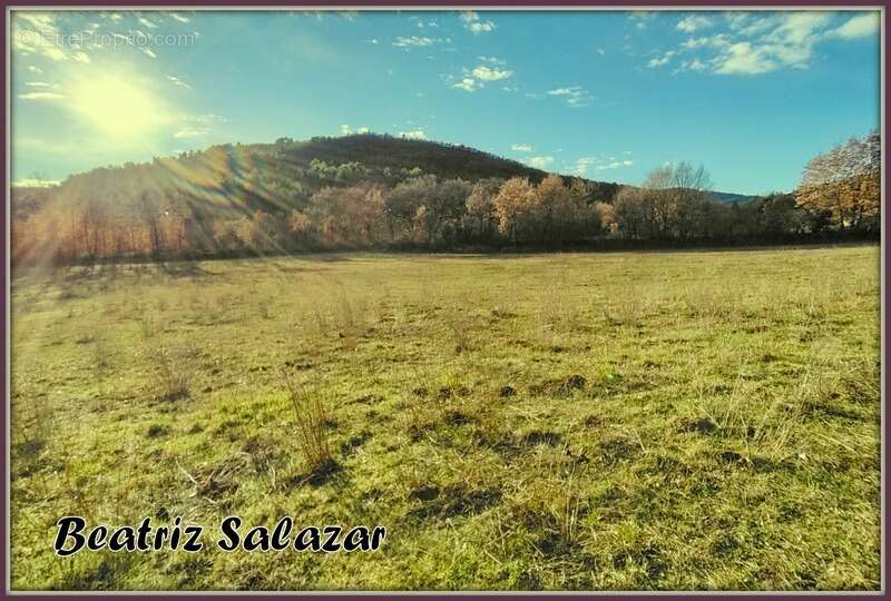 Terrain à MEZEL