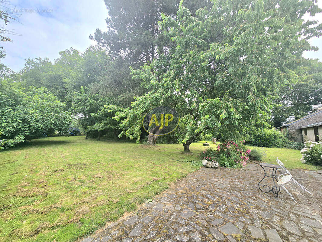Maison Guémené-Penfao poss 2 habitations... + 1491 m² Terrain - photo 13