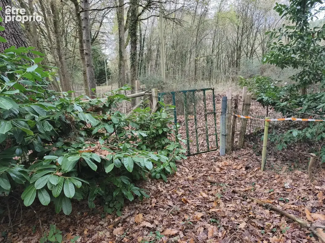 Terrain de loisir en foret au pied du circuit des 24h - photo 4