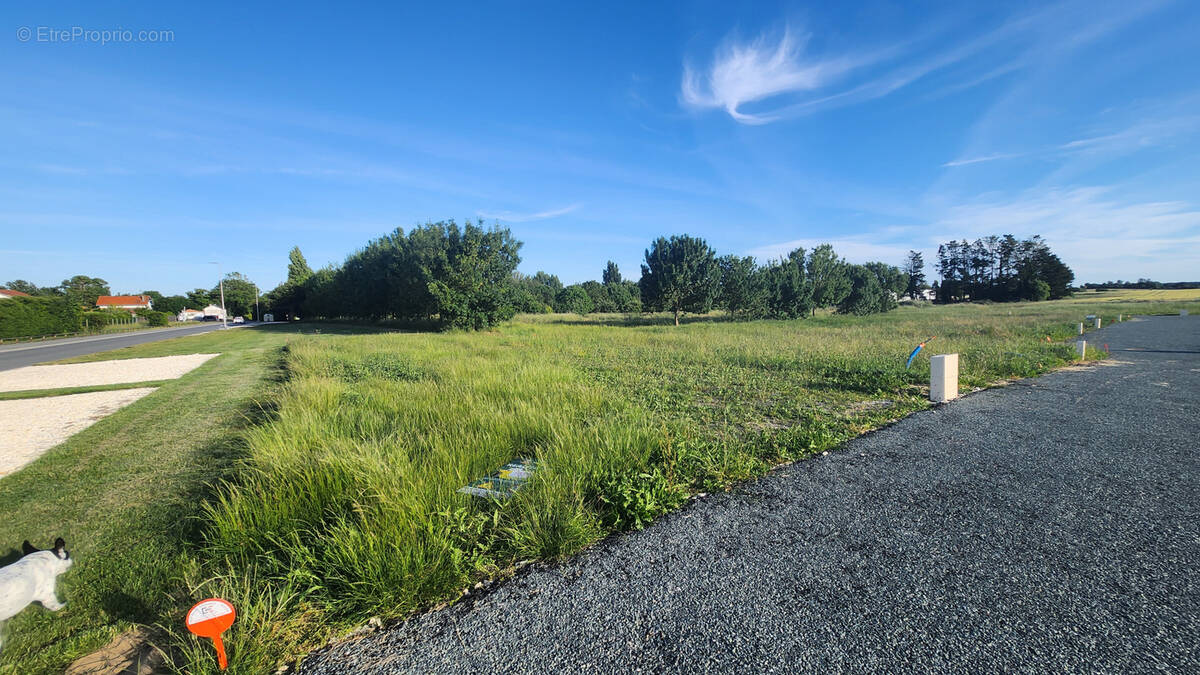 Terrain à MORNAC-SUR-SEUDRE