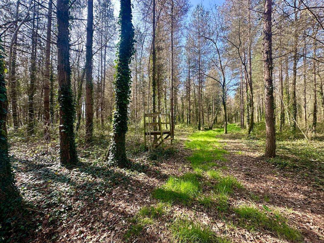 Maison à PONTVALLAIN