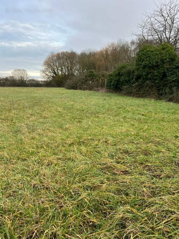 Terrain à SAINT-COSME-EN-VAIRAIS