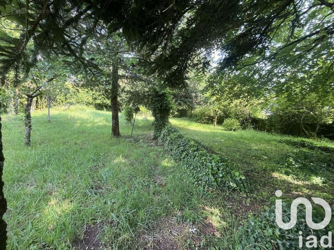 Photo 9 - Maison à CORNUS