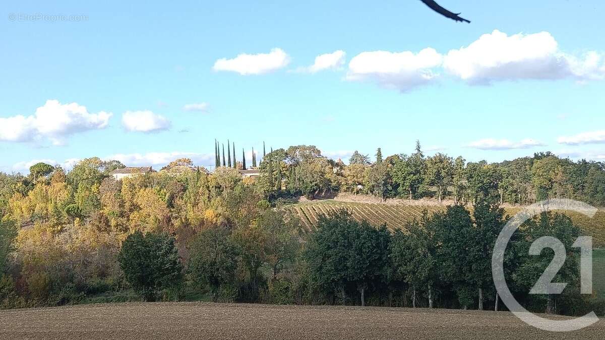 Terrain à FAYSSAC