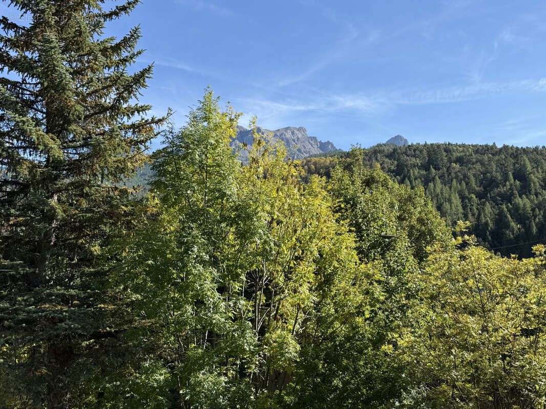 Appartement à BARCELONNETTE