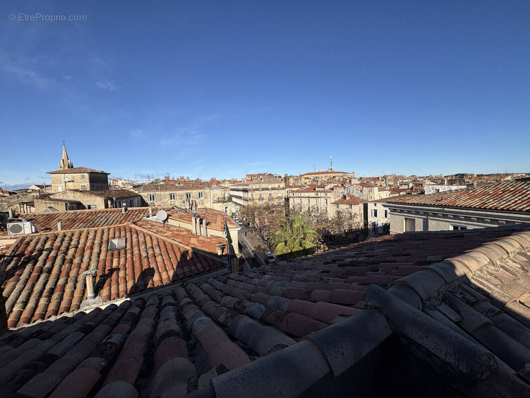 Photo 1 - Appartement à MONTPELLIER