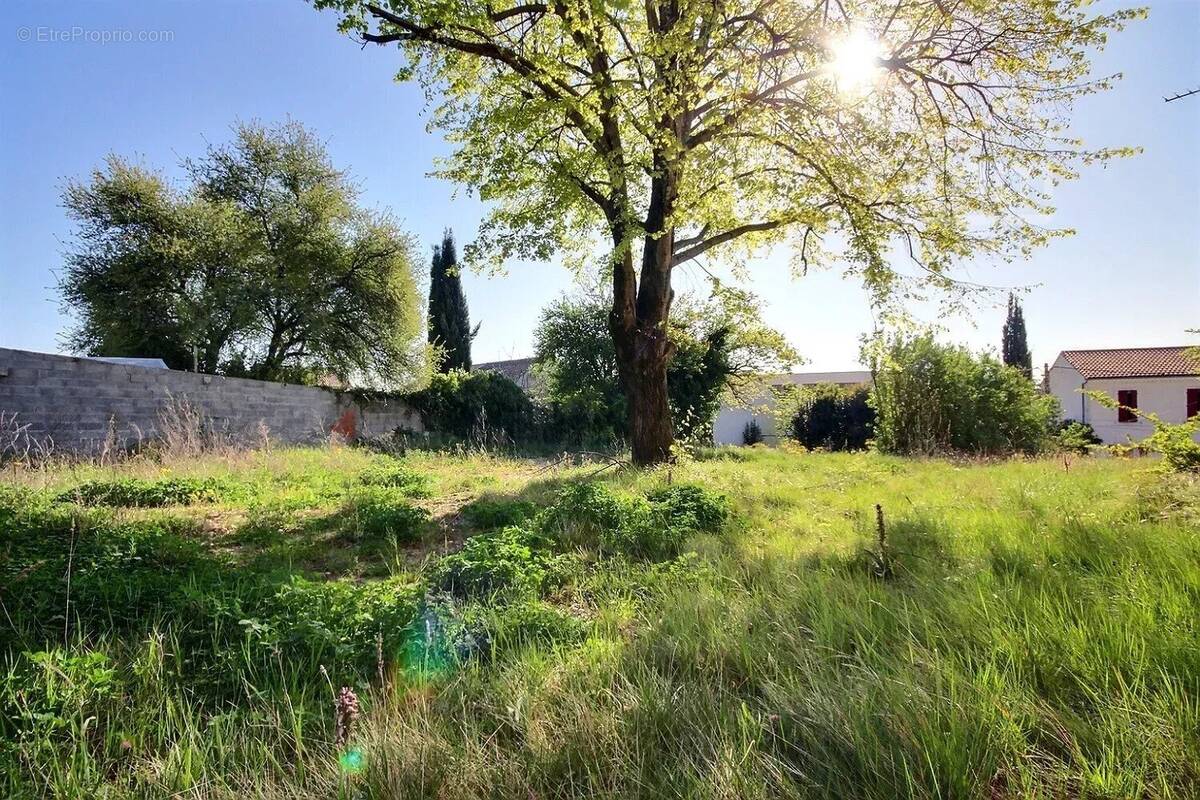 Terrain à LE TEIL