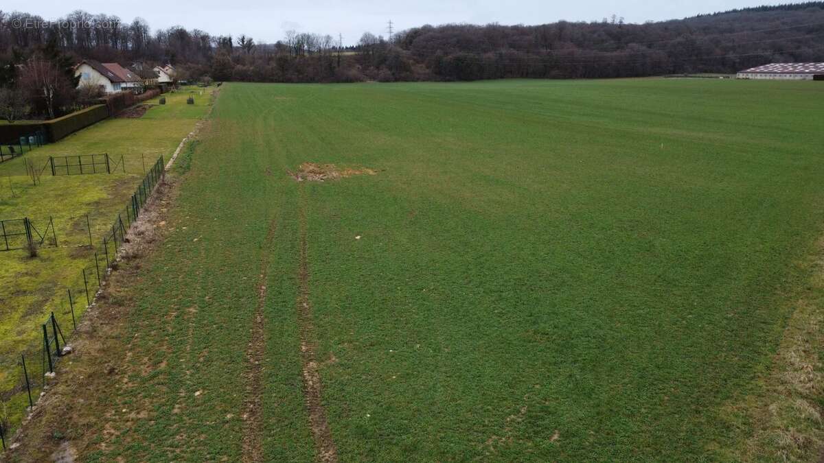 Terrain à BAVILLIERS