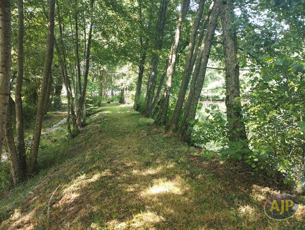 Terrain à SAINT-ANDRE-DE-LA-MARCHE