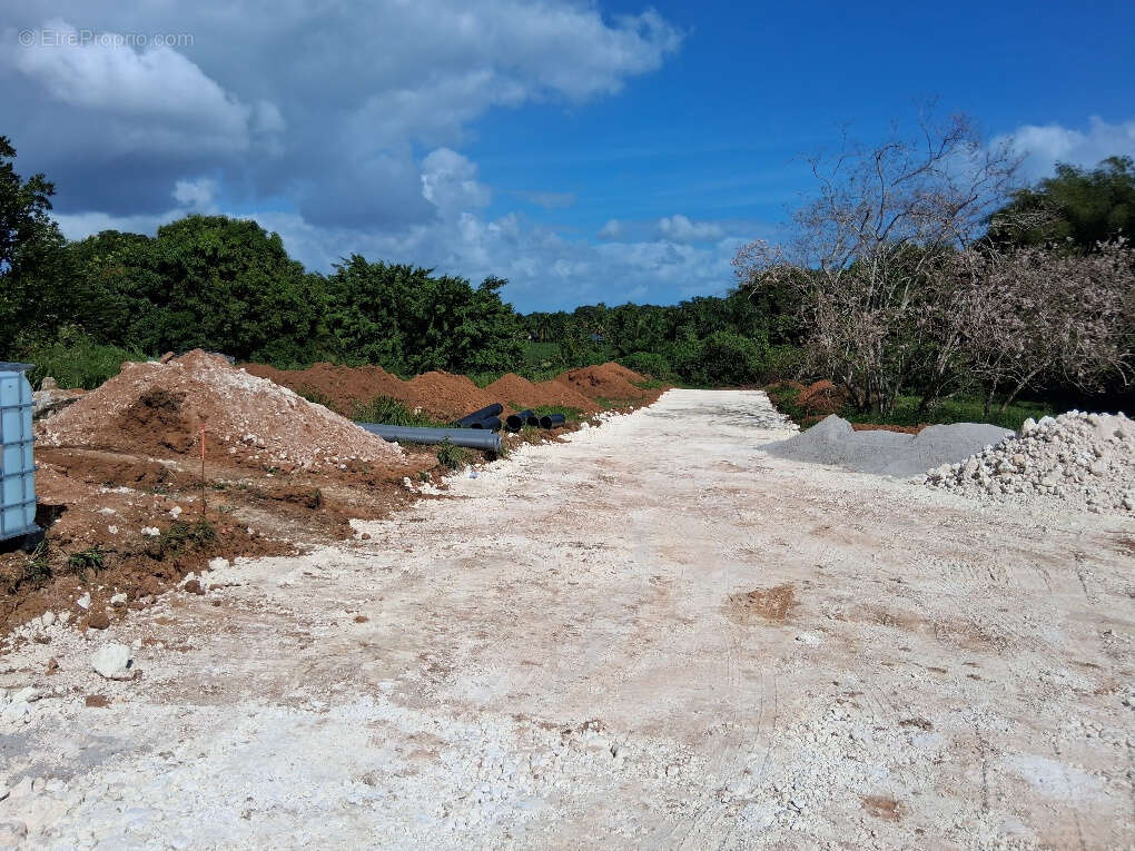 Terrain à BAIE-MAHAULT
