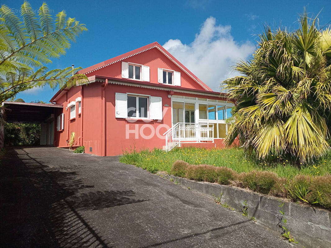Maison à LA PLAINE-DES-PALMISTES
