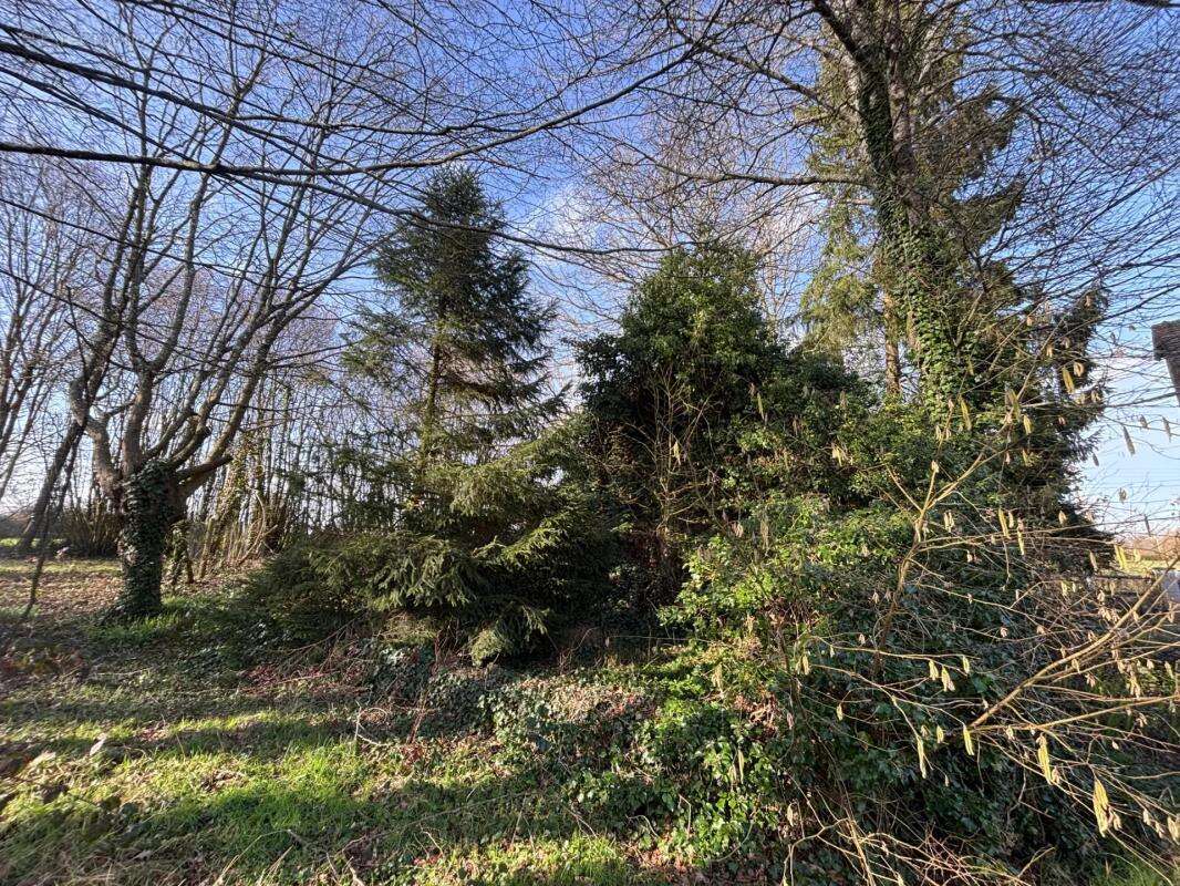 Charmante maison 135 m² avec grand jardin - photo 9