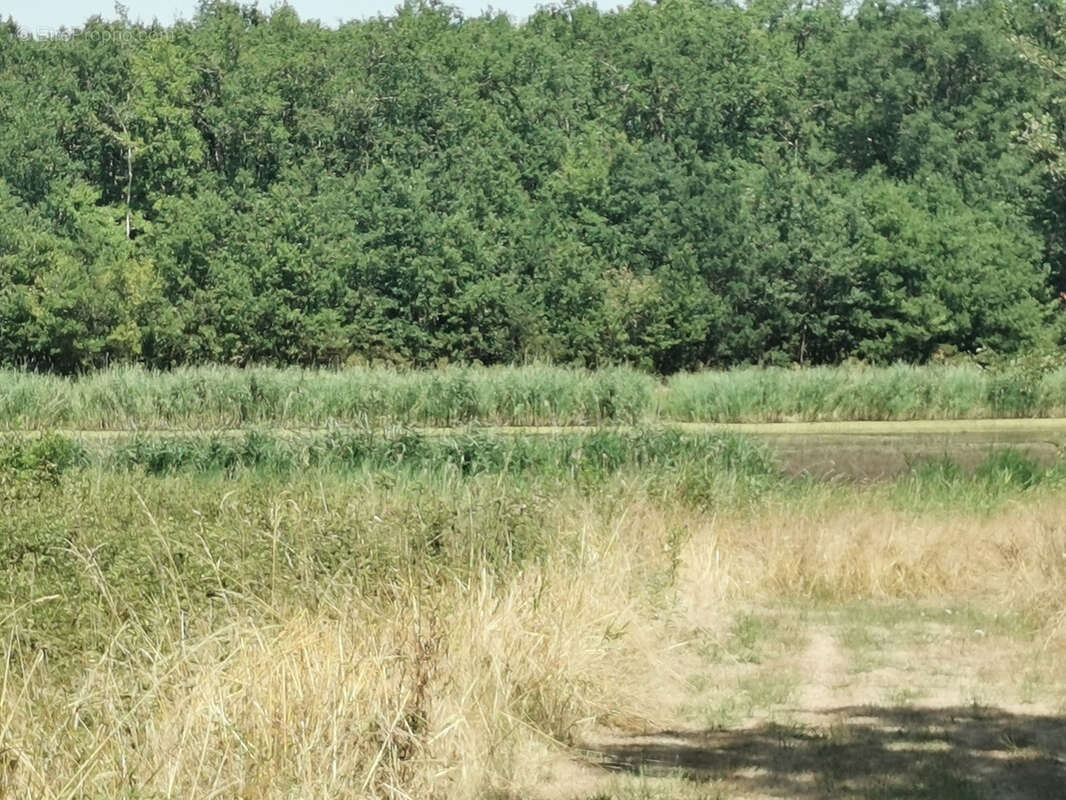 Beau terrain constructible avec vue sur étang - photo 5