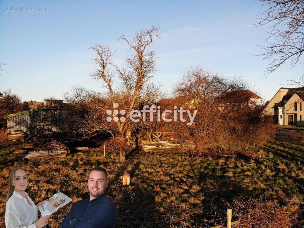 Terrain à HERRLISHEIM