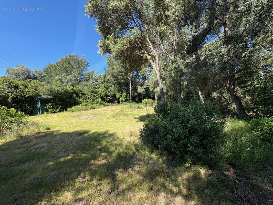 Terrain à OLLIOULES