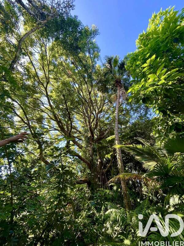 Photo 9 - Maison à SAINT-JOSEPH