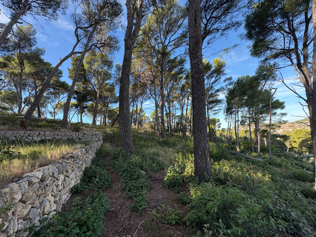 Terrain à OLLIOULES