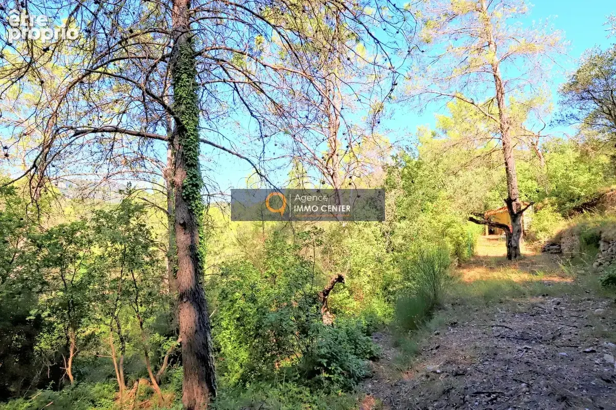 BELGENTIER   Terrain de 4 882 m2 avec chalet et cabanon - photo 5