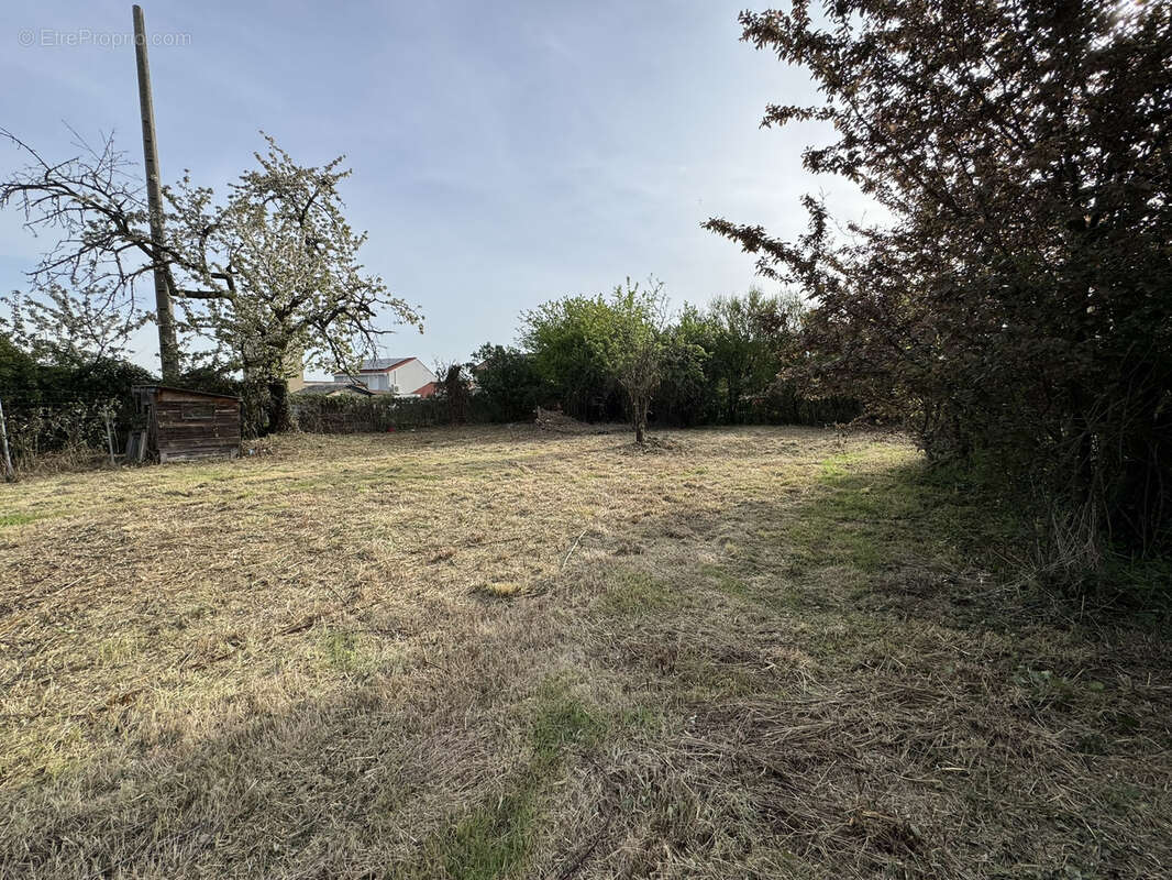 Terrain à LORETTE