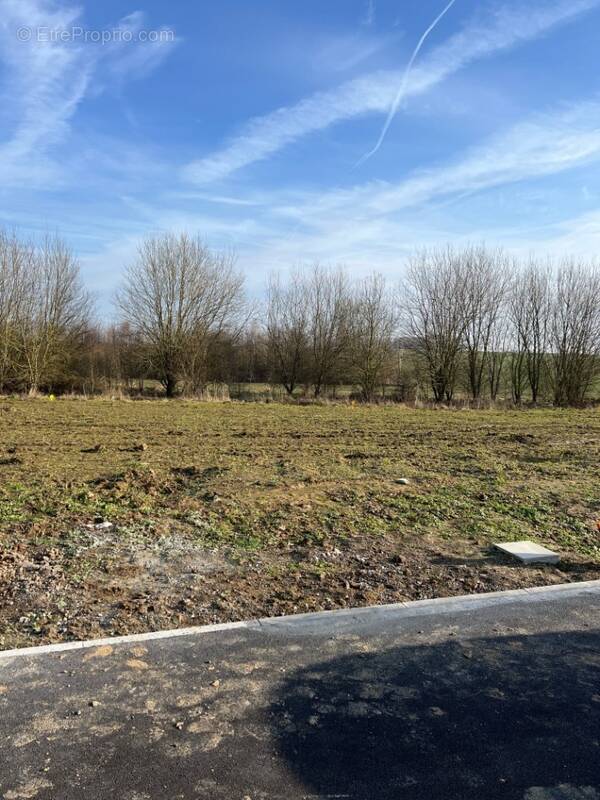 Terrain à PETITE-FORET