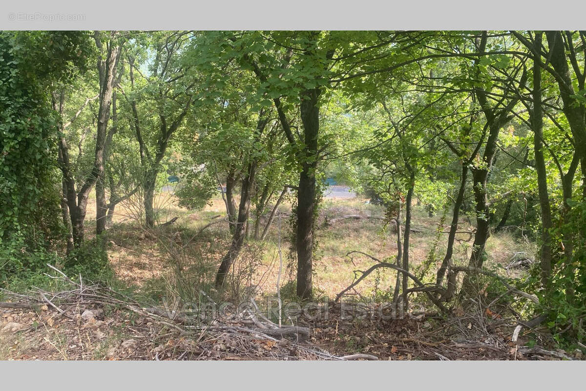 Terrain 5092 m² à Tourrettes-Sur-Loup  - photo 8