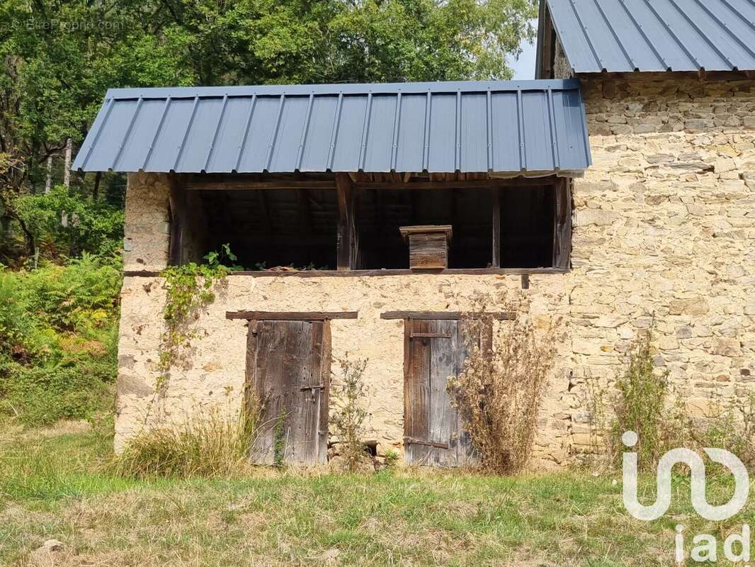 Photo 4 - Maison à JUILLAC