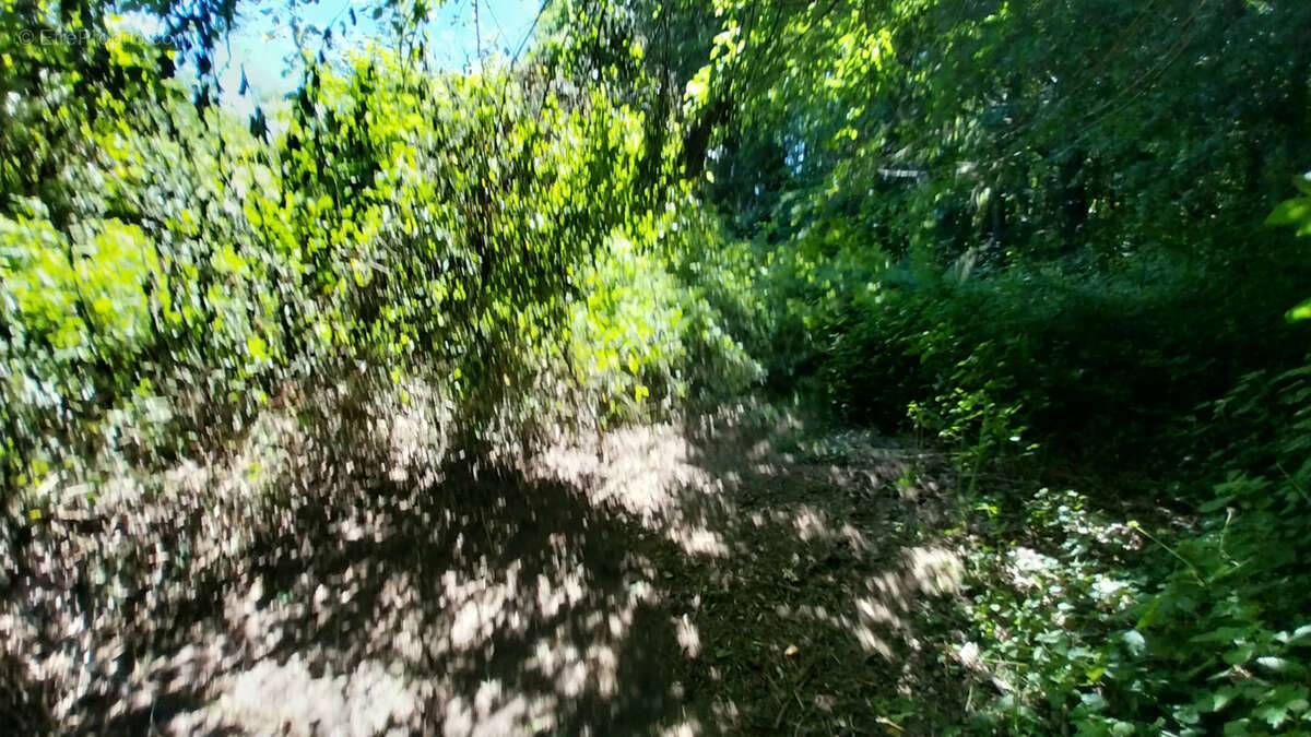 Point d'eau avec Terrain boisé - Périgord Vert - photo 8