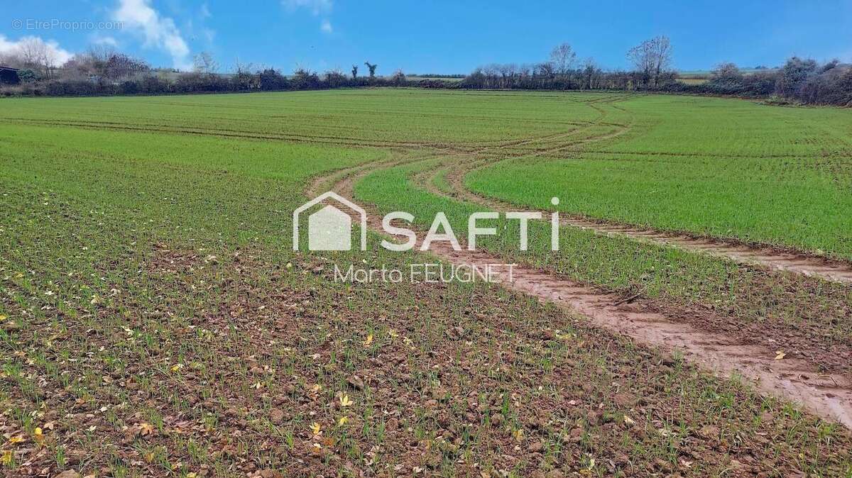 Photo 4 - Terrain à MAREUIL-SUR-LAY-DISSAIS