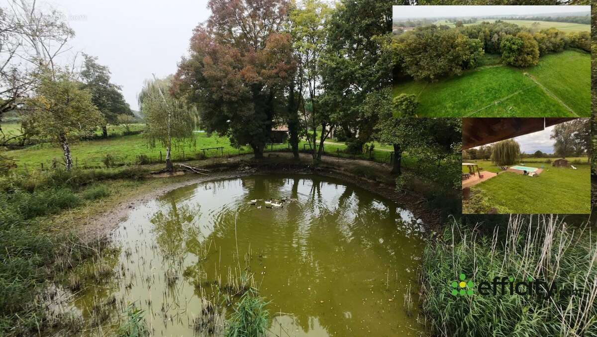 Maison à CHATILLON-SUR-CHALARONNE