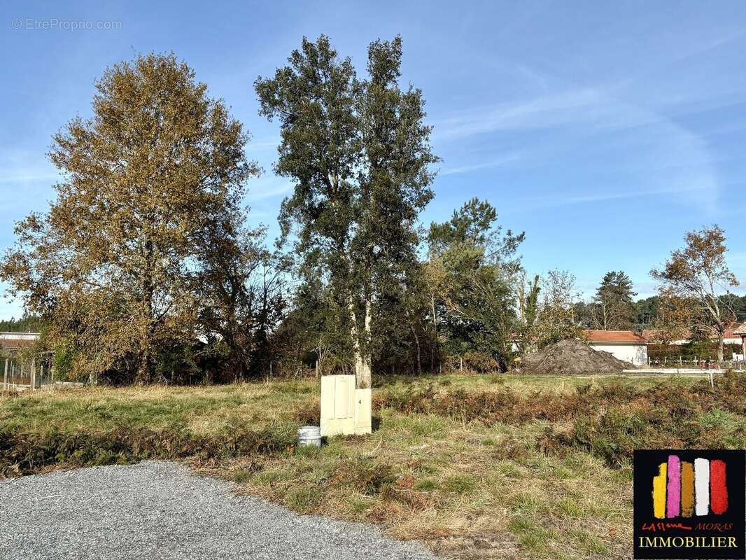 Terrain à PONTENX-LES-FORGES