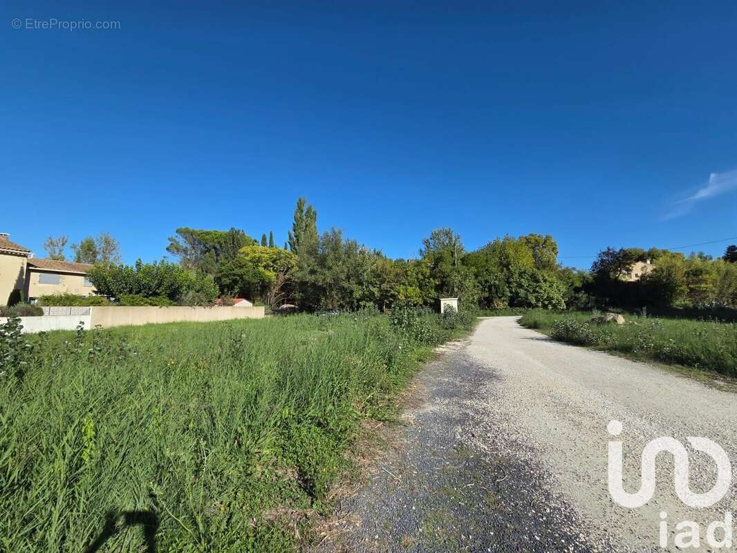 Photo 3 - Terrain à SAINT-REMY-DE-PROVENCE