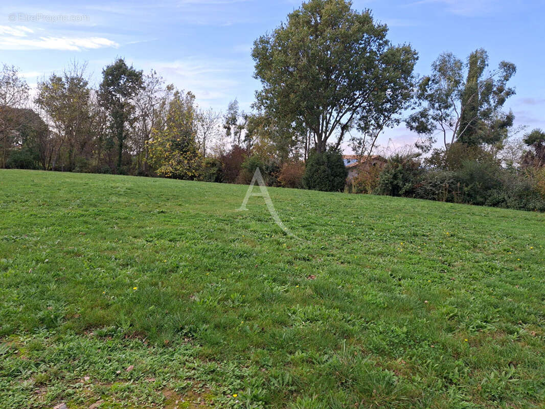 Terrain à L&#039;ISLE-JOURDAIN