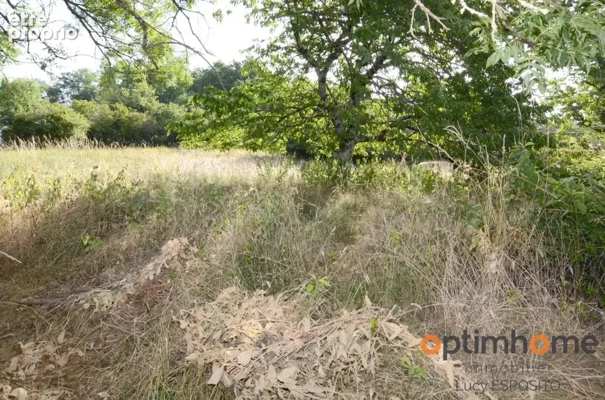  Maison en pierre à rénover avec terrain à bâtir – Nieuil (16)  - photo 17