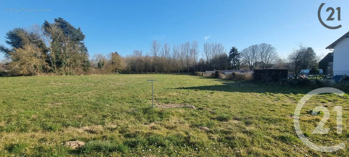 Terrain à LOUAN-VILLEGRUIS-FONTAINE