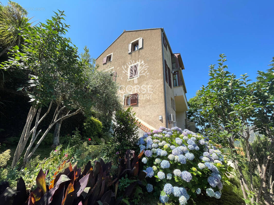 Maison à SAINTE-LUCIE-DE-TALLANO