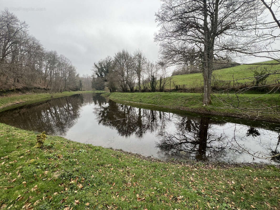 Etang de 4000 m2 sur une parcelle de 5 733 m2 ! - photo 6