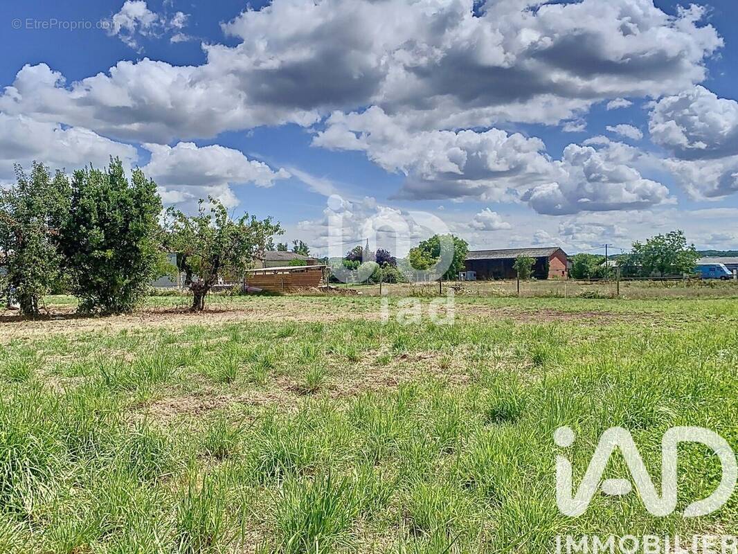 Photo 1 - Terrain à NEGREPELISSE