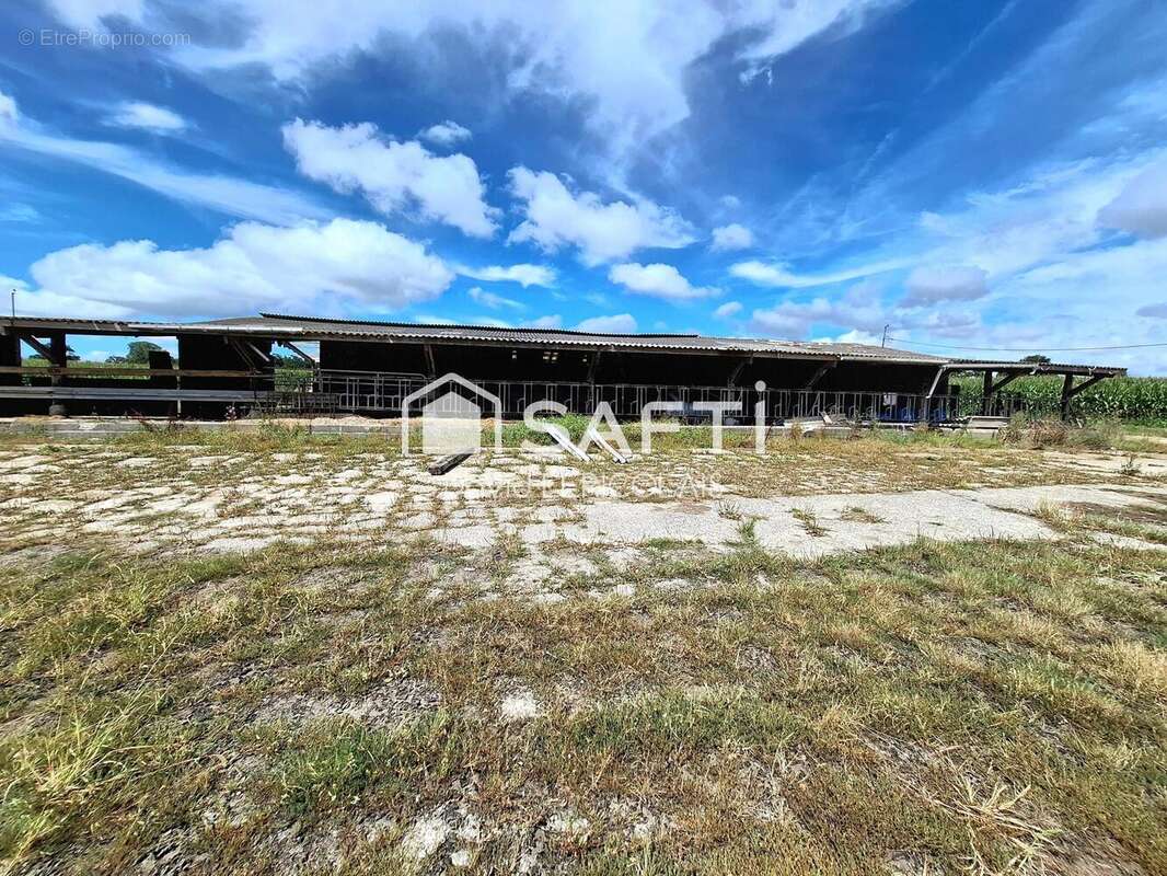 Photo 5 - Maison à SAINT-ANDRE-DE-BOHON