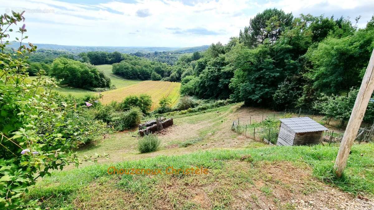 24200 Sarlat La Caneda :Maison et gîte, dépendances et piscine sur 5000m² - photo 17