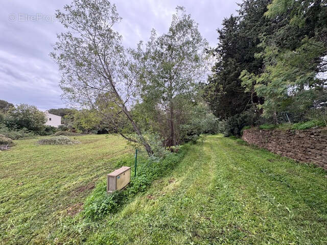 Terrain à LA CROIX-VALMER
