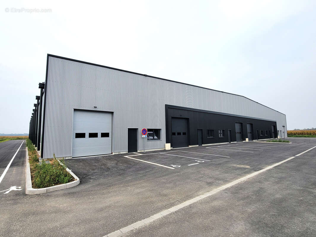 Commerce à FEGERSHEIM