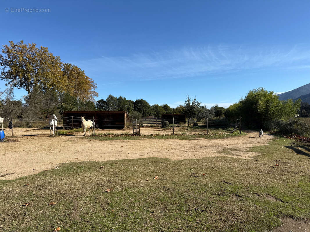 Maison à SAINT-JEAN-PLA-DE-CORTS